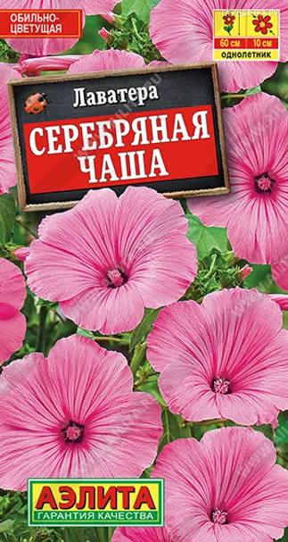 Лаватера Серебряная чаша ЦП