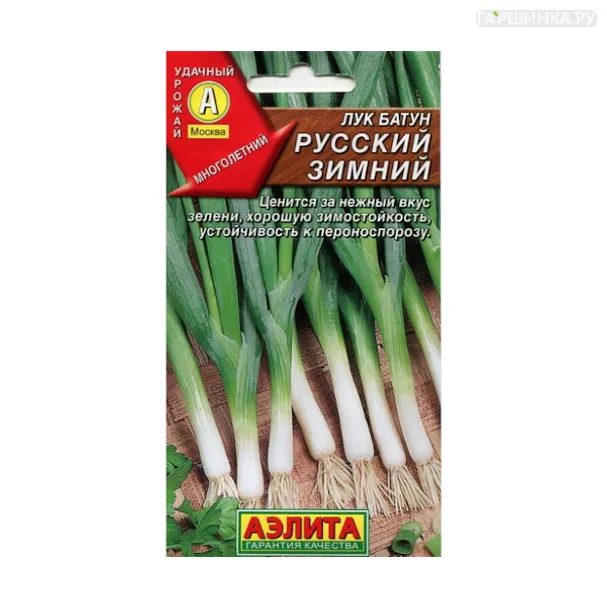 Лук Батун Русский зимний ЦП 1 г, Семена Аэлита