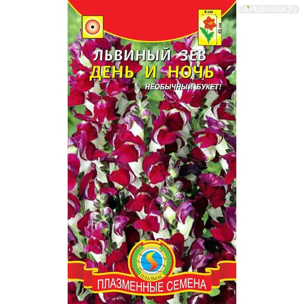 Львиный зев День и Ночь ц.п. 0,05гр