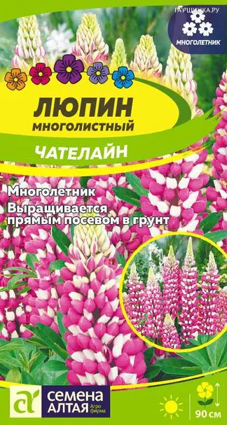 Люпин Чателайн цп 0,3 г, Семена Алтая