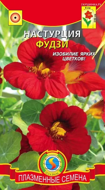Настурция махровая Летние лучи, ЦП