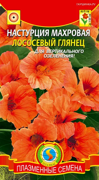 Настурция Лососевый глянец ц.п. 9шт