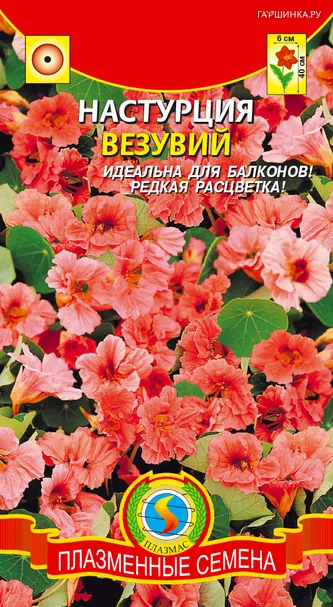 Настурция Везувий ц.п. 9 шт