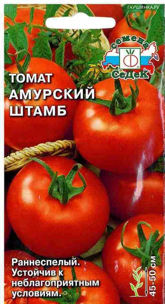 Томат Амурский штамб