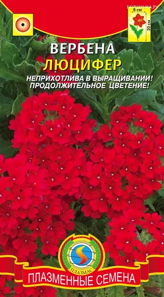 Вербена Люцифер ц.п. 0,05гр