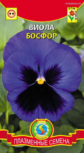 Виола Босфор ц.п. 0,1 гр
