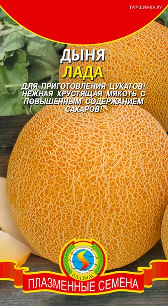 Дыня Лада 1 г, Плазменные семена