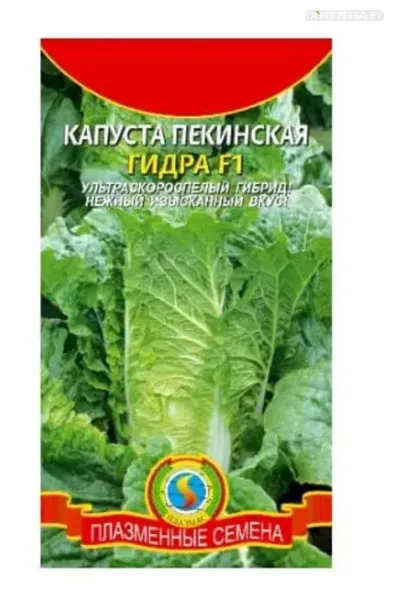 Пекинская капуста Гидра F1, 0,1 г, Плазменные семена