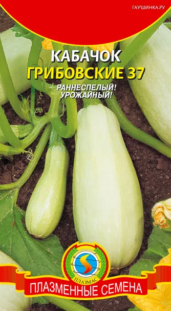 Кабачок Грибовские 37 12 шт, Плазменные семена
