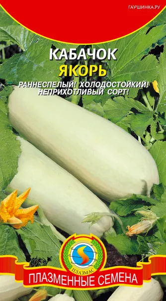 Кабачок Якорь 11 шт, Плазменные семена