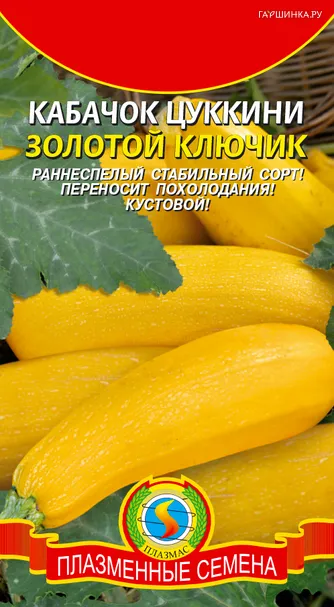 Кабачок (Цуккини) Золотой ключик 10 шт, Плазменные семена