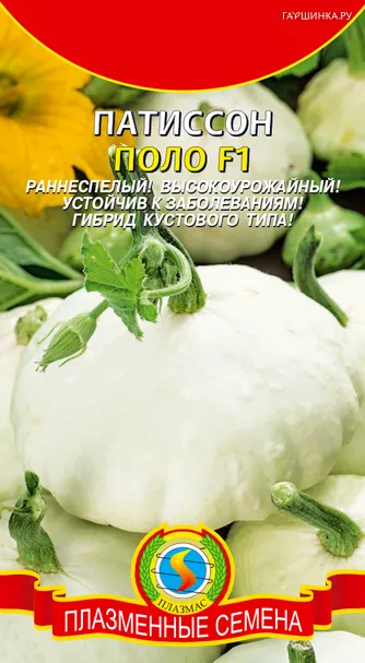 Патиссон Поло F1, 6 шт, Плазменные семена