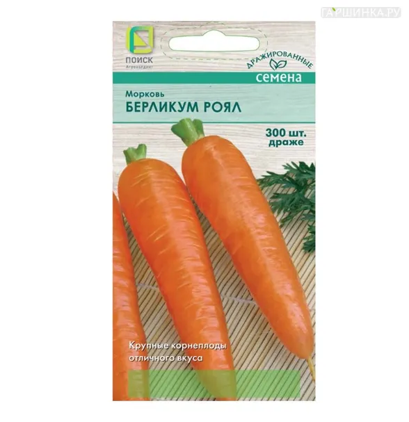 Морковь (Драже) Берликум Роял (А) 300, Поиск