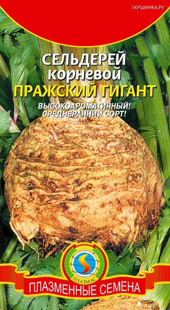 Сельдерей корневой Пражский Гигант, 0,45 гр, Плазменные семена
