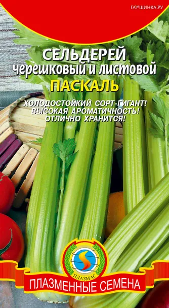 Сельдерей черешковый и листовой Паскаль, 0,5 гр, Плазменные семена