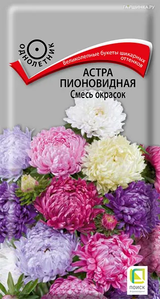 Астра пионовидная Смесь окрасок 0,3 г, Семена Поиск