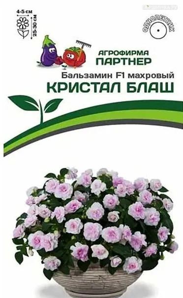 Бальзамин махровый махровый "Кристал Блаш" 5, Партнер