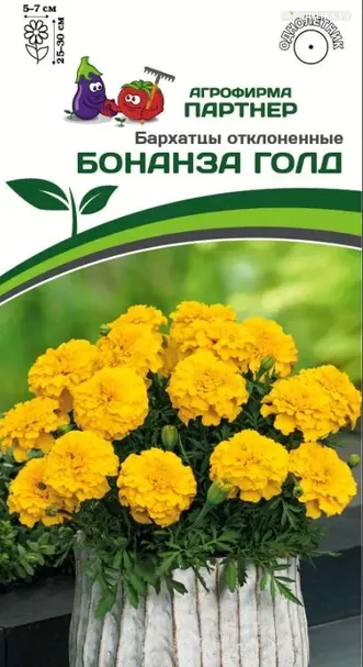 Бархатцы отклоненные "Бонанза Голд" 10, Партнер