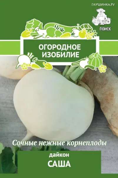 Дайкон Саша 1, Поиск