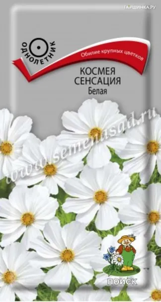 Космея Сенсация Белая 0,3, Поиск