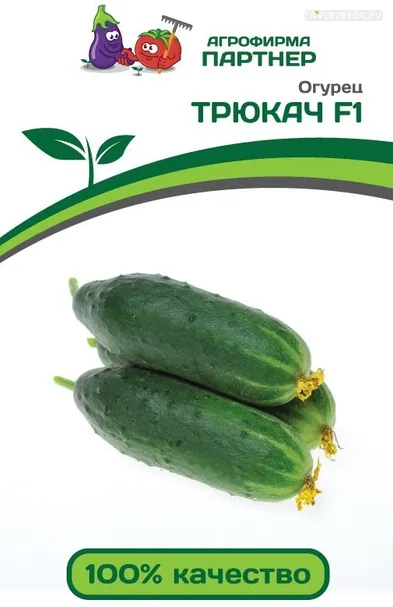 Огурец Трюкач F1 5. Партнер
