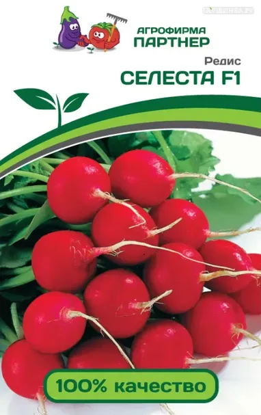 Редис Селеста F1 1 г Партнер