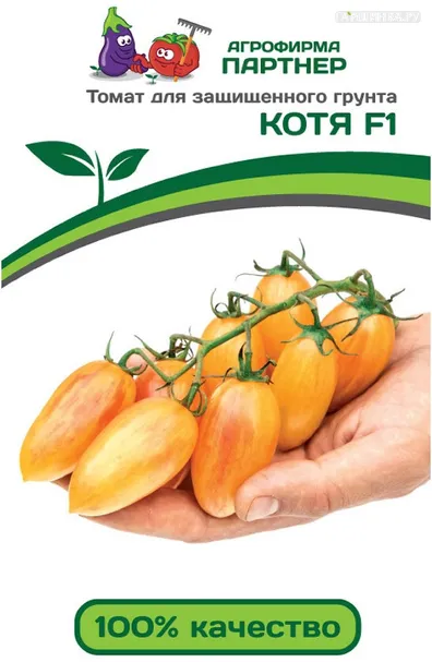 Томат Котя F1 10. Партнер