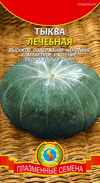 Тыква Лечебная 10 шт, Плазменные семена