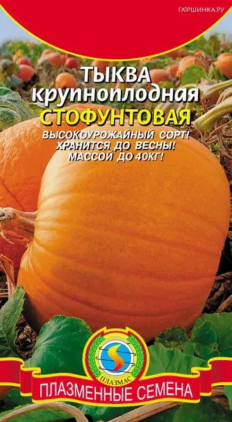 Тыква Стофунтовая 2 г, Плазменные семена