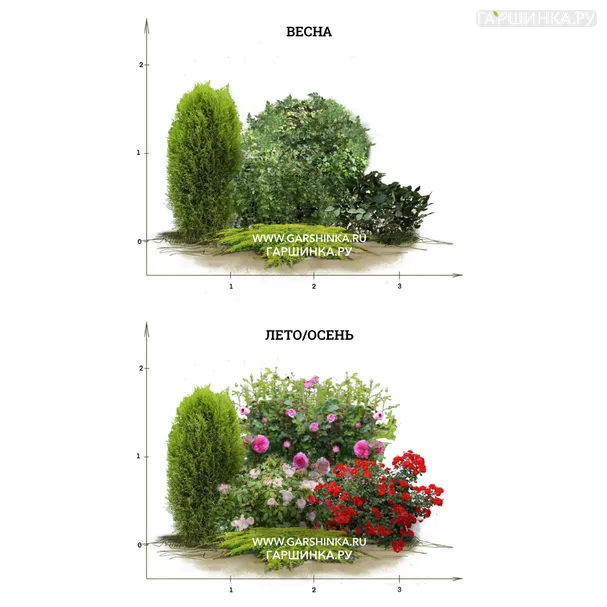 Цветник с розами