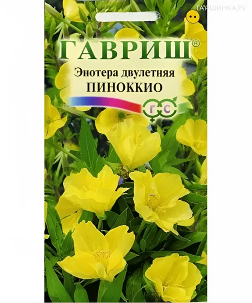 Энотера Пиноккио двулетняя, 0,3 г