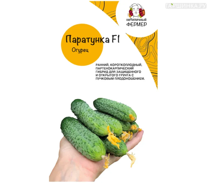 Огурец Паратунка F1 (5шт), Нетипичный Фермер