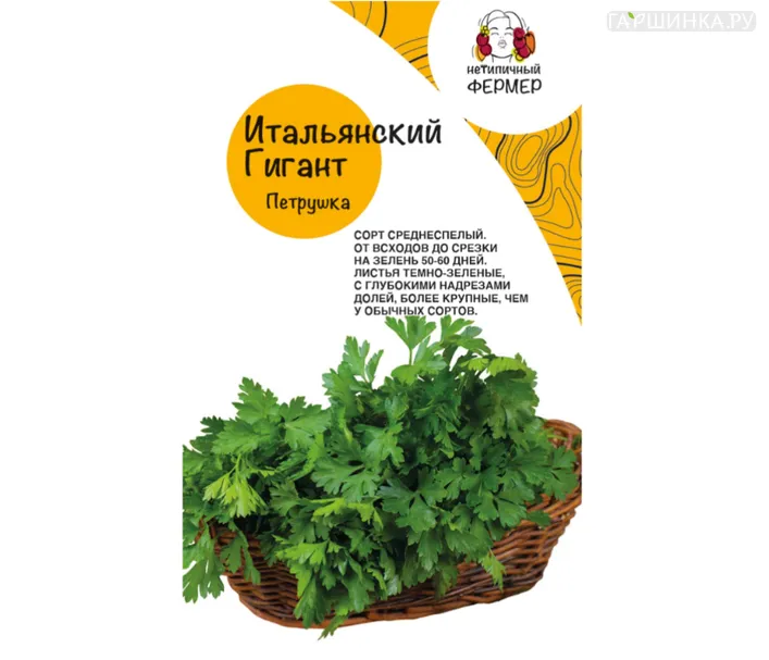 Петрушка Итальянский Гигант листовая 3 г, Семена Нетепичный Фермер