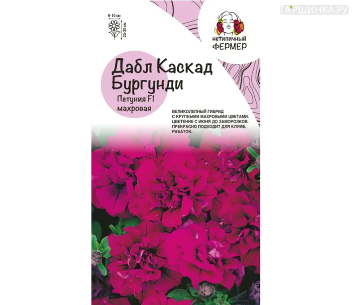 Петуния махровая Дабл Каскад Бургунди (5 шт), Нетипичный Фермер