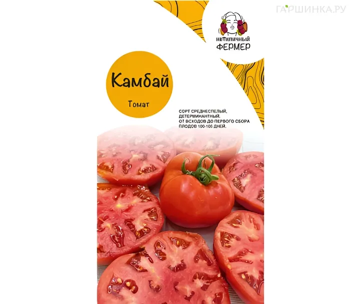 Томат Камбай 10 шт, Семена Нетипичный фермер