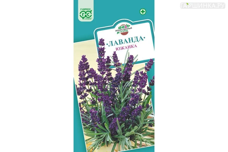 Лаванда узколистная Южанка 0,2 г ЦП Гавриш