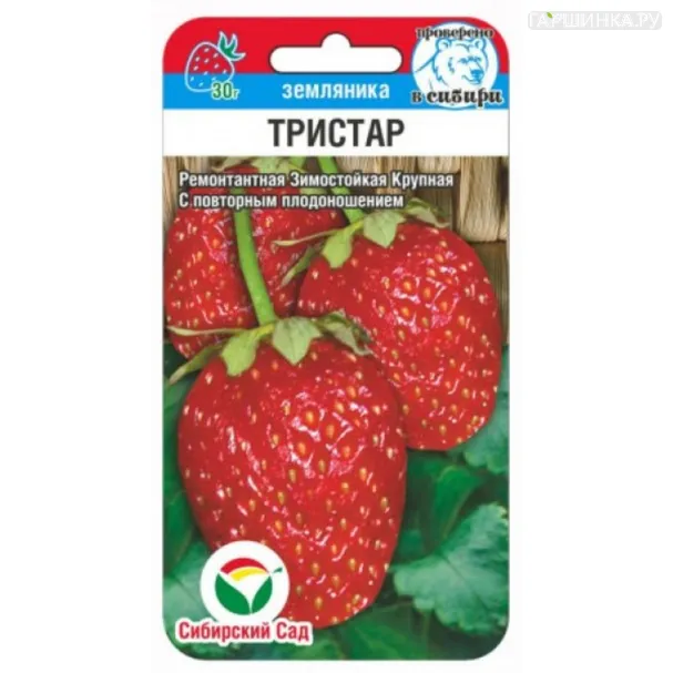 Клубника Тристар 10шт