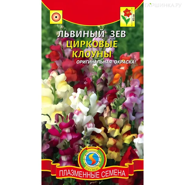Львиный зев Цирковые клоуны, Плазменные семена