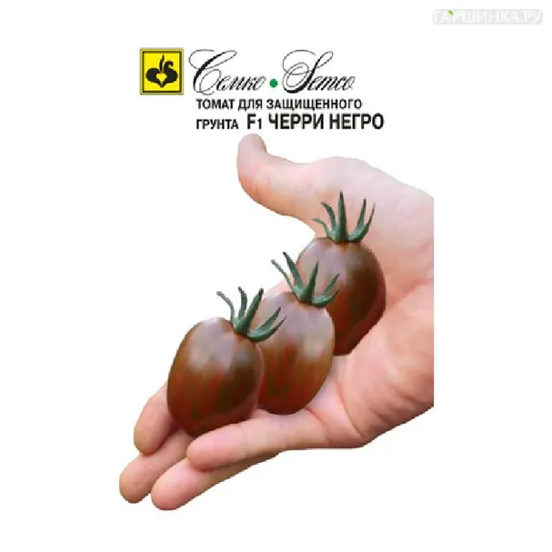 Томат Черри Негро F1