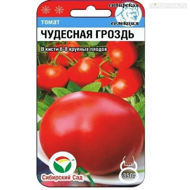 Томат Чудесная гроздь 20шт