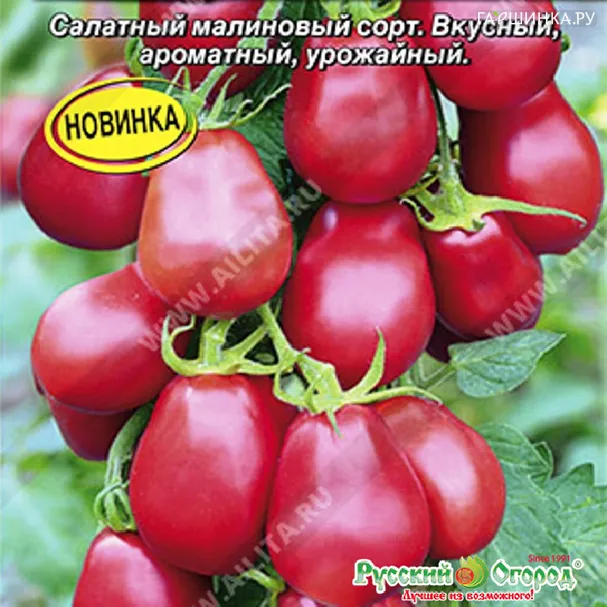 Томат Щедрый каскад