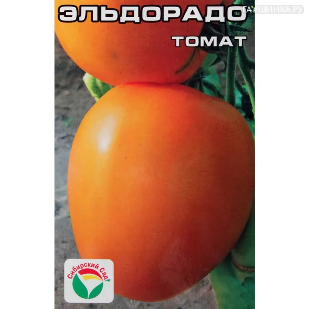 Томат Эльдорадо 20шт
