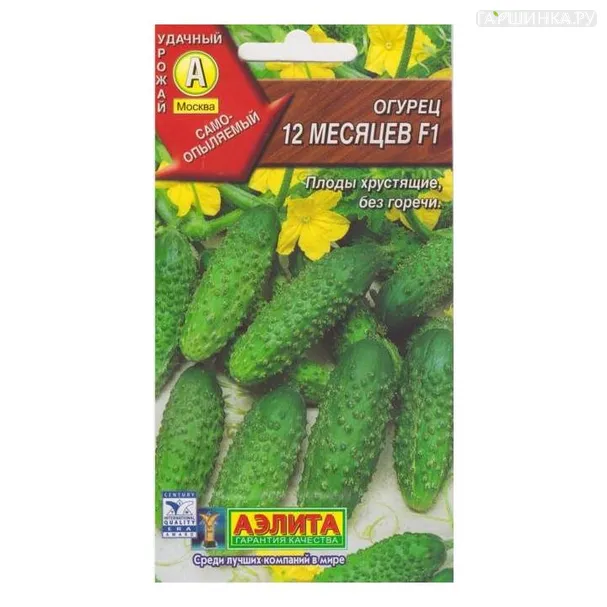 Огурец 12 месяцев.