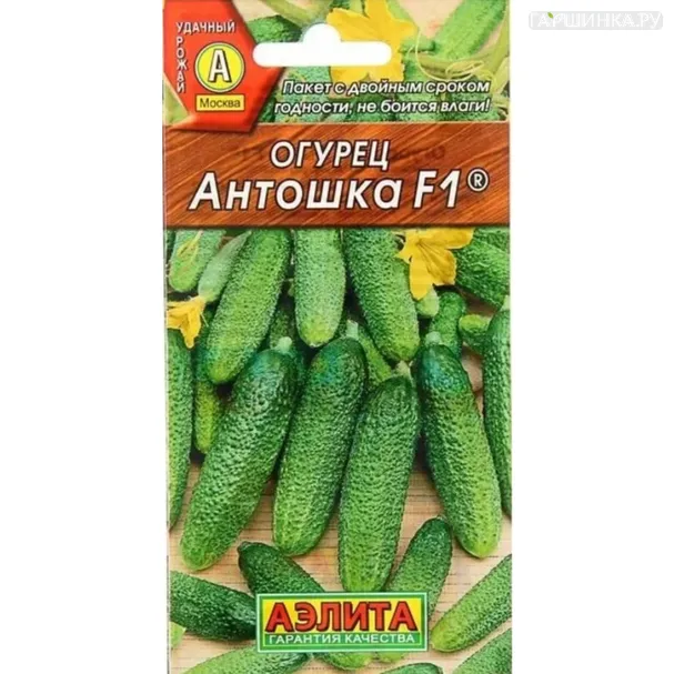 Огурец Антошка F1 10шт (0,3г) ц/п, Семена Аэлита