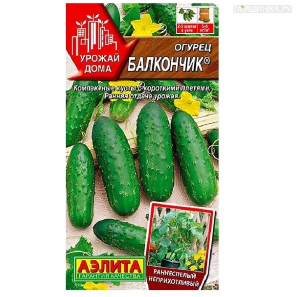 Огурец Балкончик