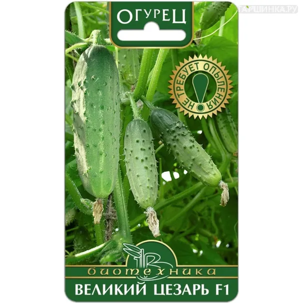 Огурец Великий Цезарь F1, Семена Биотехника