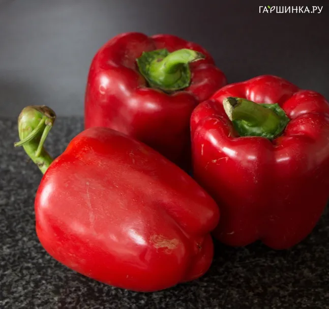Перец сладкий Гусарский кубок 15шт