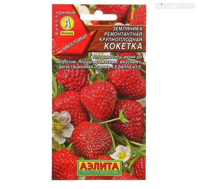 Земляника Кокетка 10шт