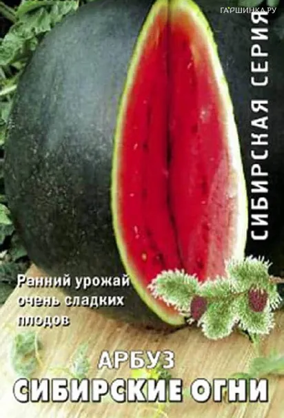 Арбуз Сибирские огни 15шт