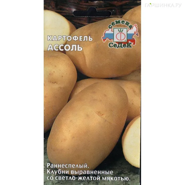 Картофель Ассоль 0,02 г, Семена Седек